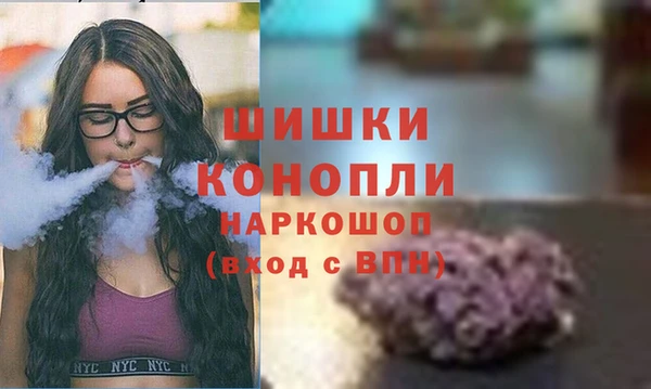 PSILOCYBIN Заводоуковск