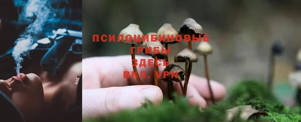 эйфоретик Алексеевка