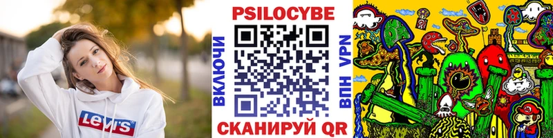 купить наркоту Наволоки Галлюциногенные грибы Magic Shrooms